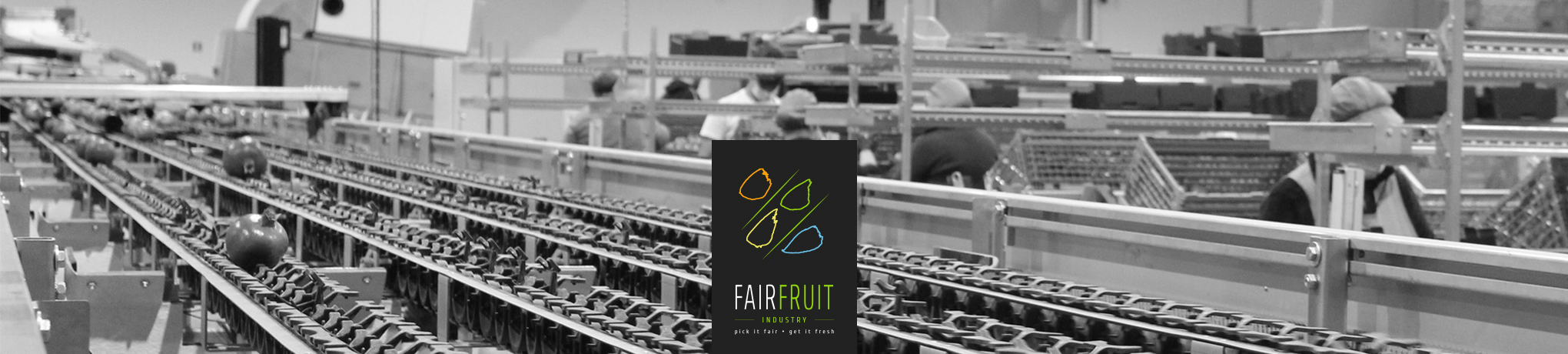 subsidiary industry